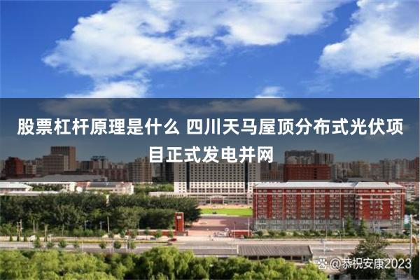 股票杠杆原理是什么 四川天马屋顶分布式光伏项目正式发电并网