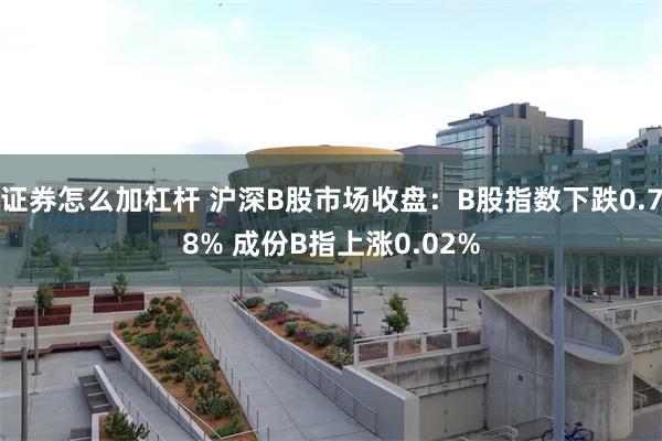 证券怎么加杠杆 沪深B股市场收盘：B股指数下跌0.78% 成份B指上涨0.02%