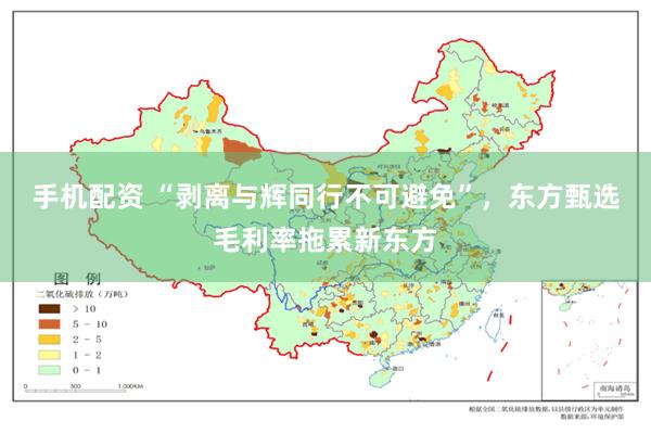 手机配资 “剥离与辉同行不可避免”，东方甄选毛利率拖累新东方