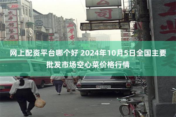 网上配资平台哪个好 2024年10月5日全国主要批发市场空心菜价格行情