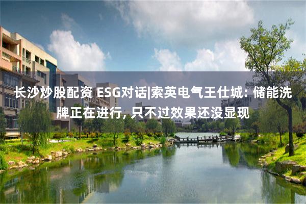 长沙炒股配资 ESG对话|索英电气王仕城: 储能洗牌正在进行, 只不过效果还没显现