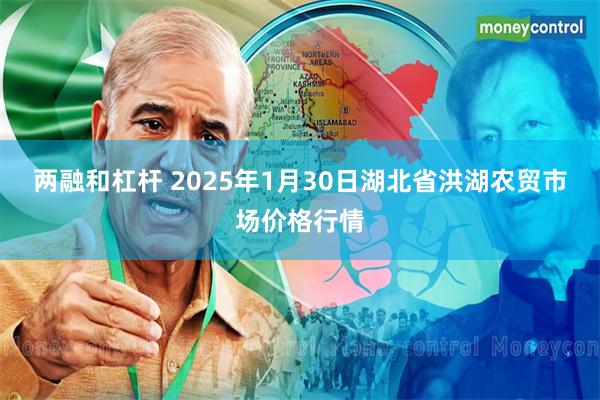 两融和杠杆 2025年1月30日湖北省洪湖农贸市场价格行情