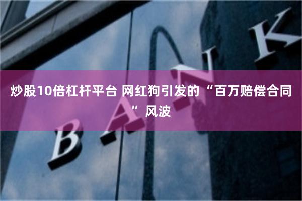 炒股10倍杠杆平台 网红狗引发的 “百万赔偿合同” 风波